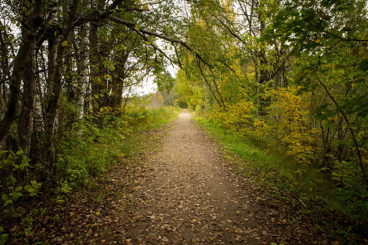 Sinialliku matkarada (1,3 km)