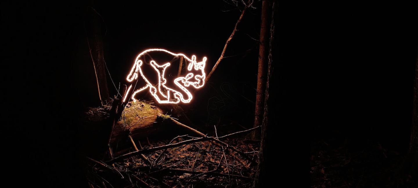 Soomaa rahvuspargi külastuskeskus