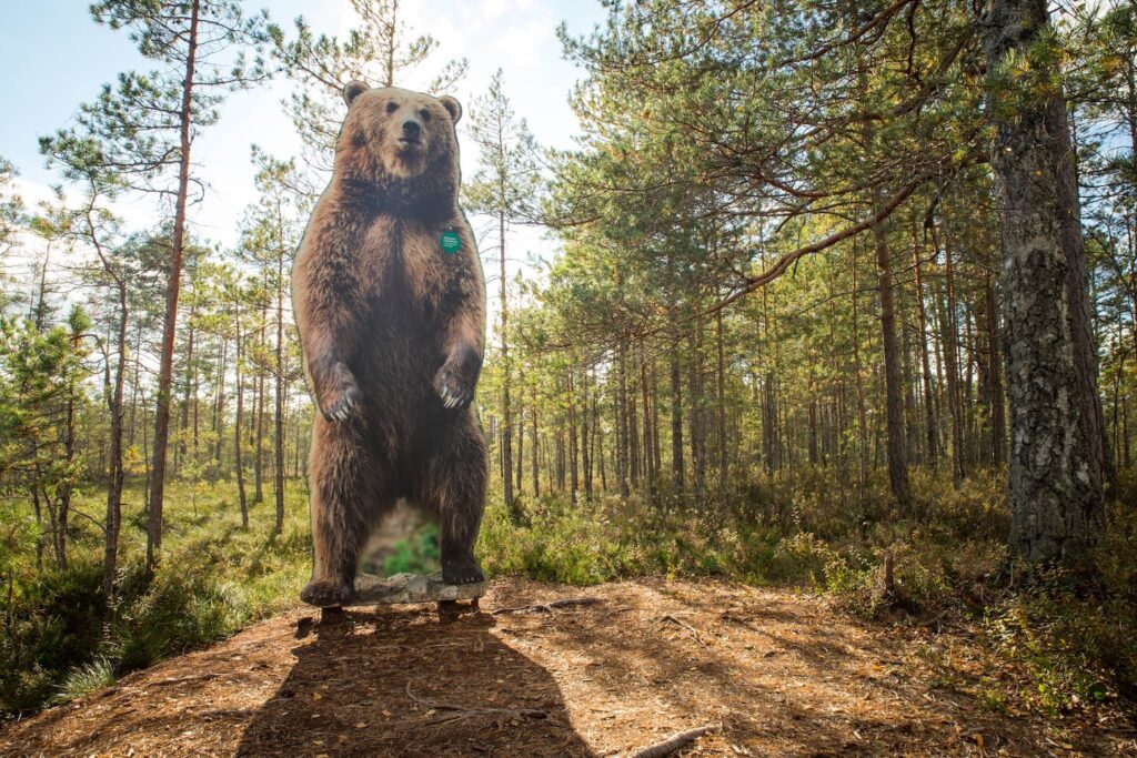 Sõõriksoo loodusrada.