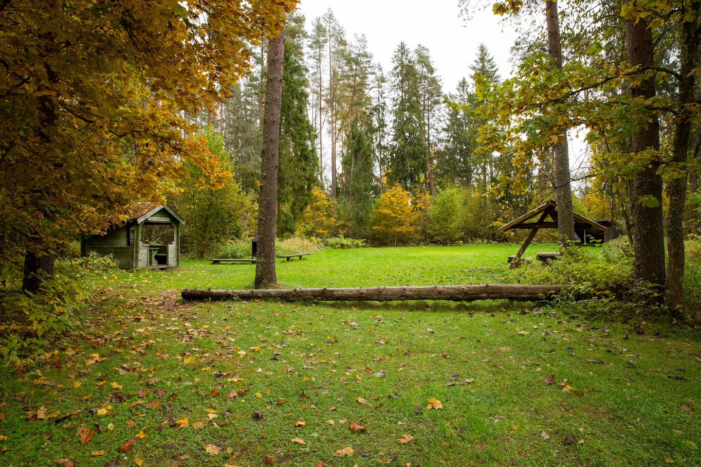 Taagepera lõkkekohad