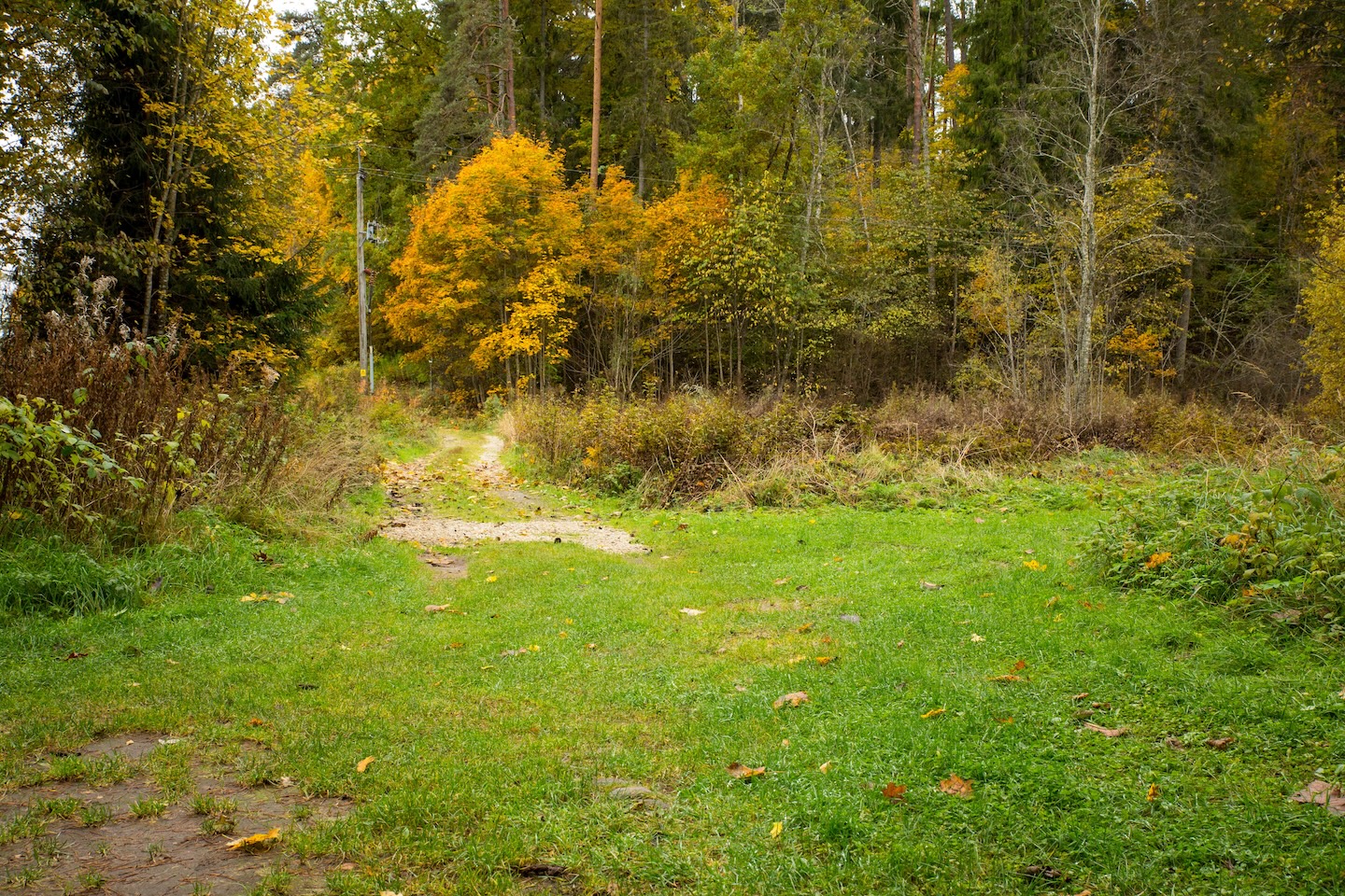 Taagepera lõkkekohad