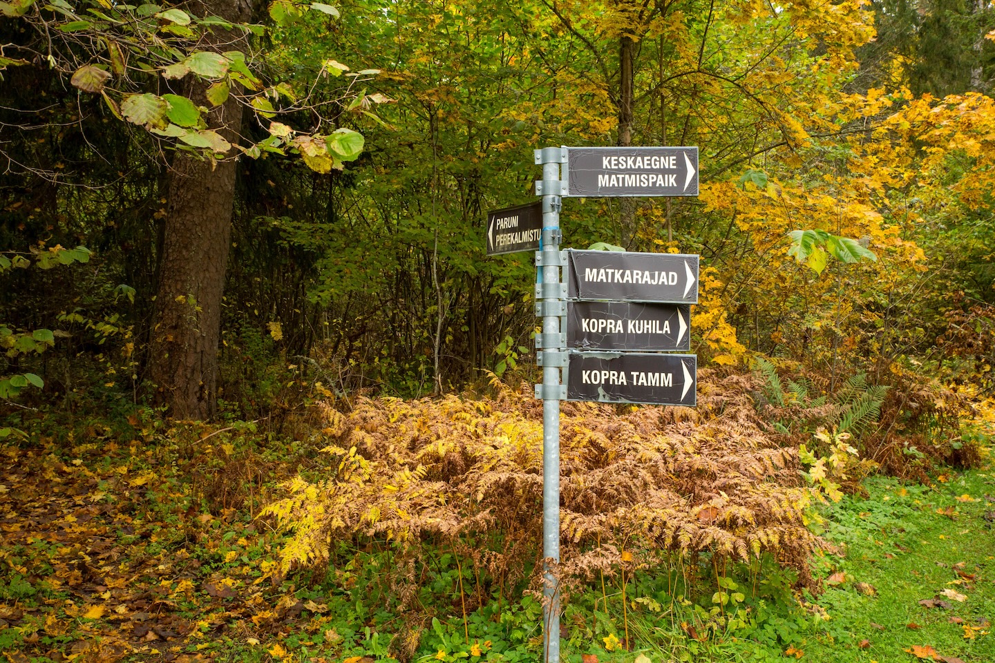 Taagepera lõkkekohad