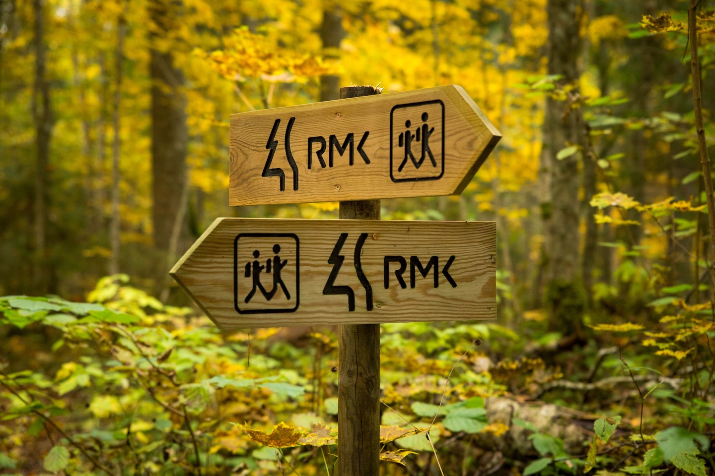 Taagepera matkarada (5,4 km)