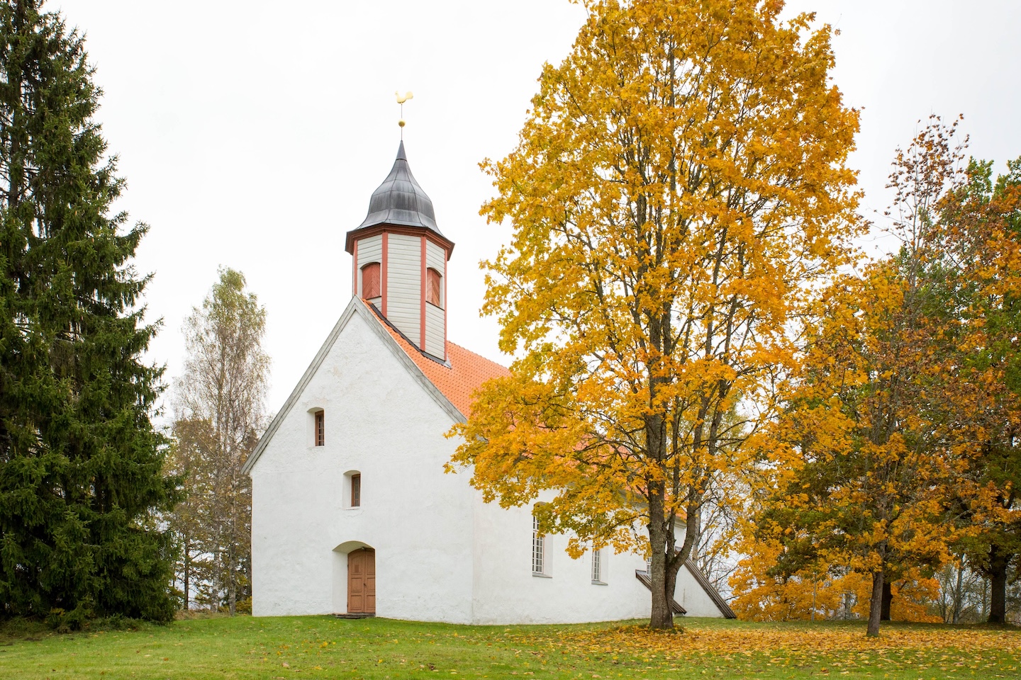 Taagepera matkarada (5,4 km)