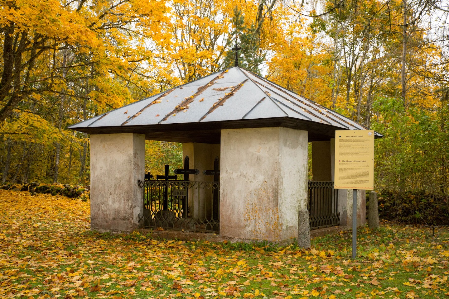 Taagepera matkarada (5,4 km)