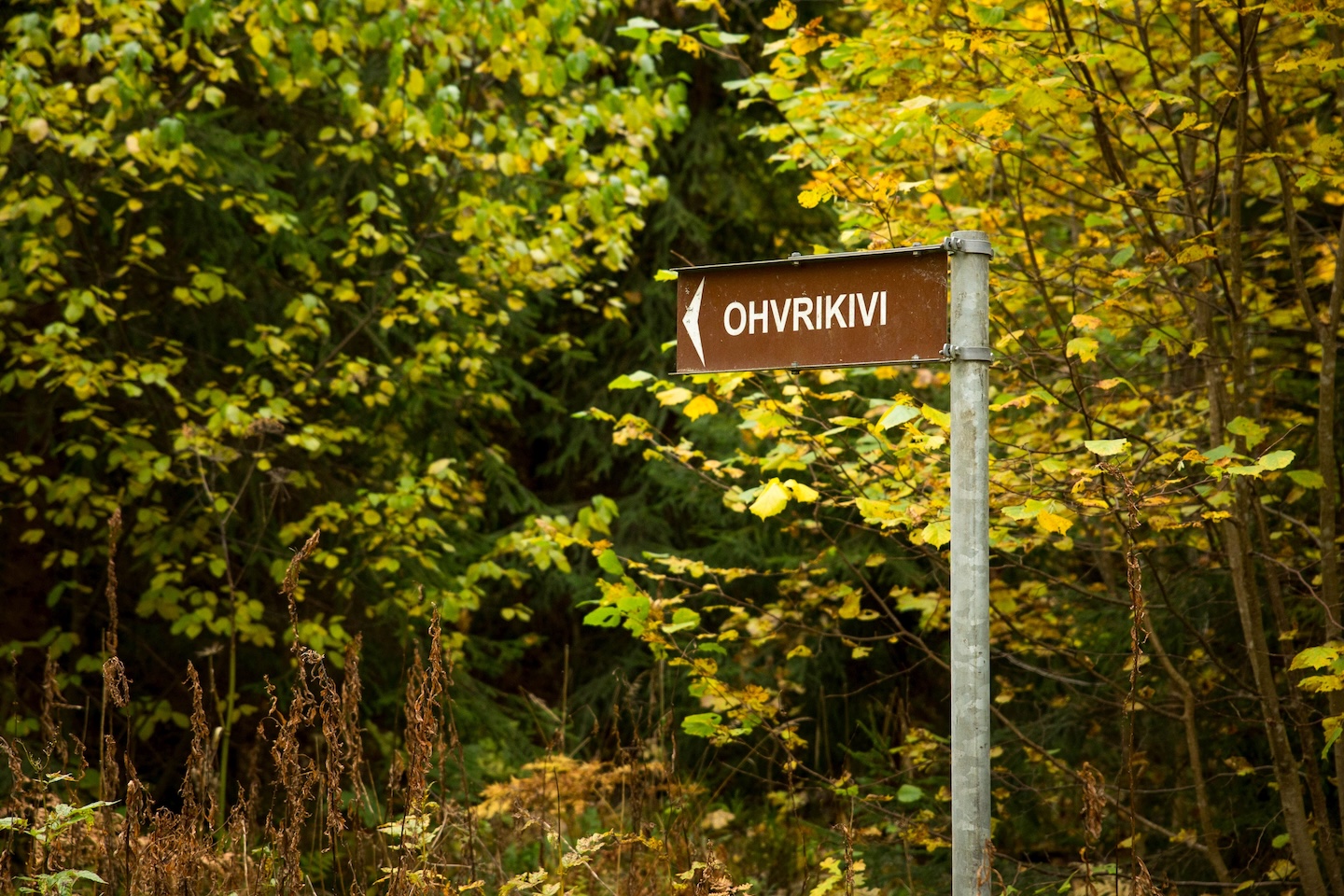 Taagepera matkarada (5,4 km)