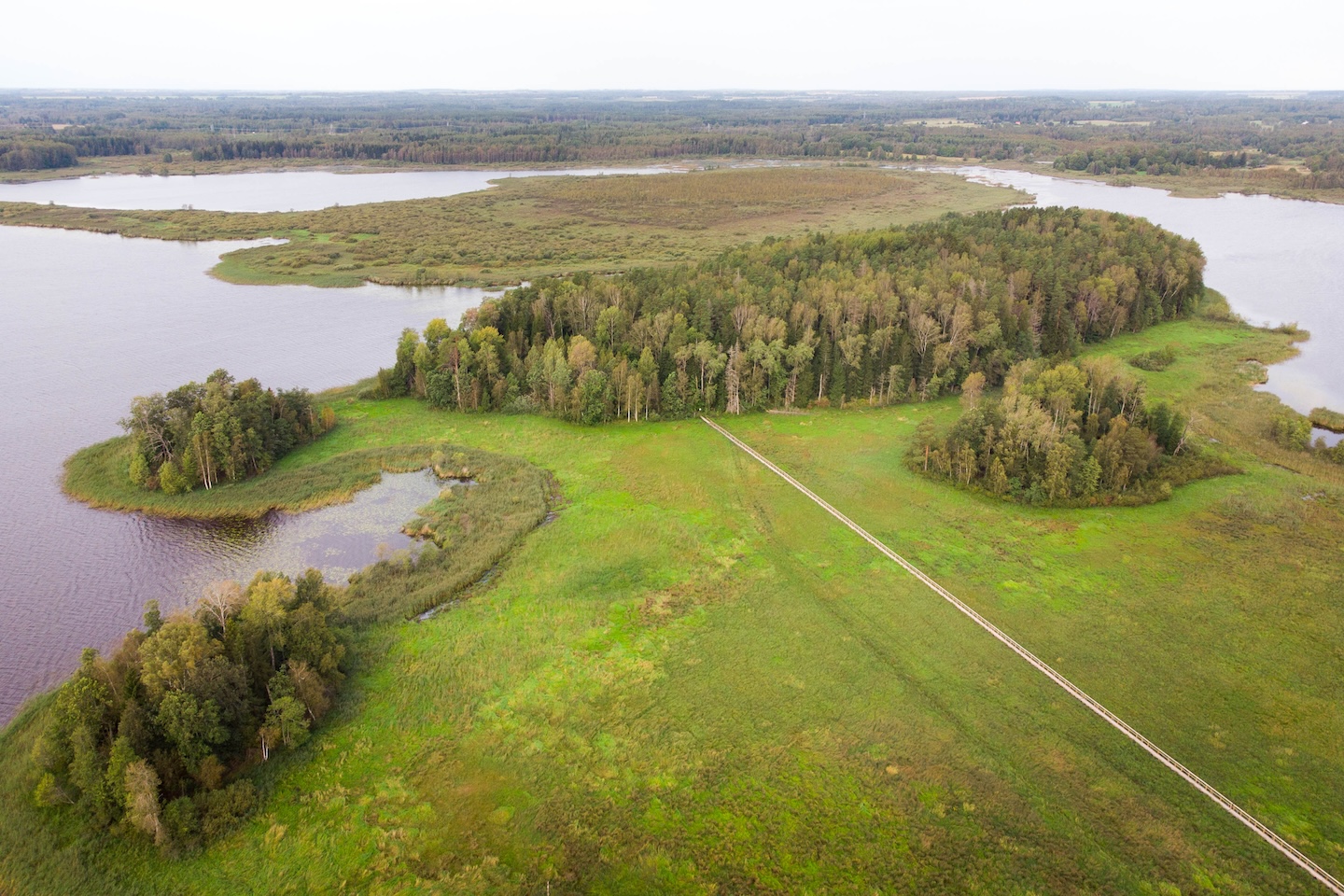 Tammeluha matkarada (3 km)