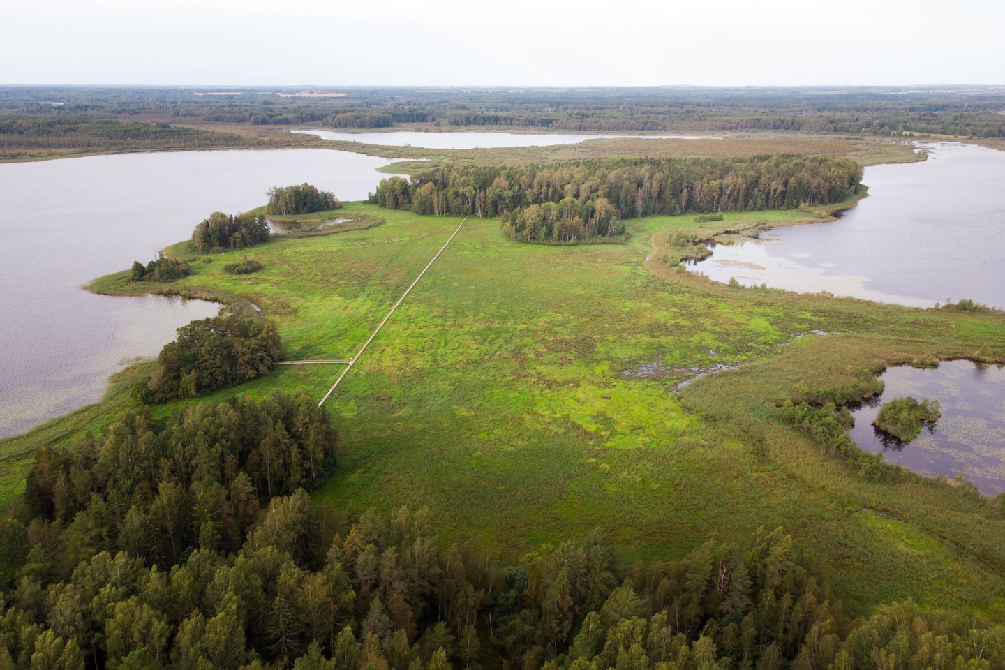 Tammeluha matkarada (3 km)