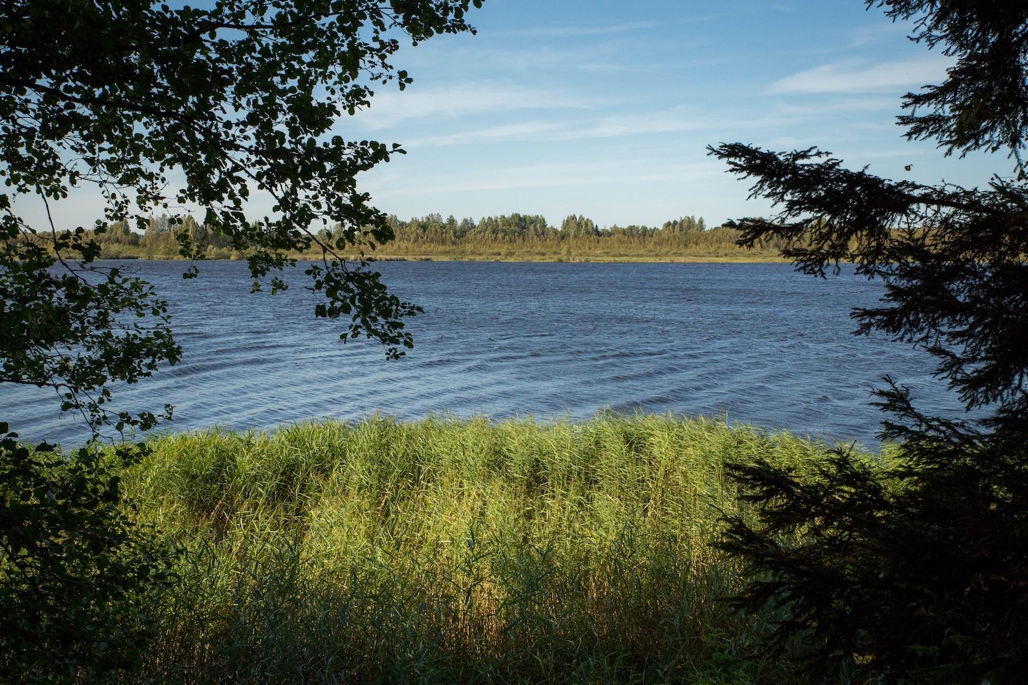 Tammeluha matkarada (3 km)