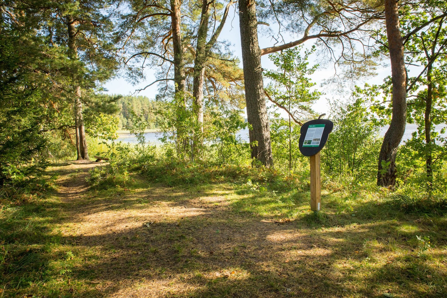 Tammeluha matkarada (3 km)