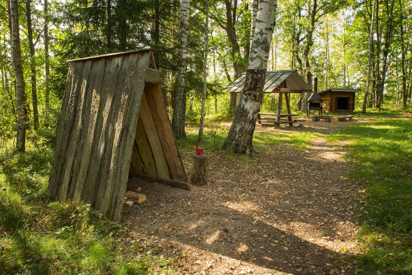Tammeluha lõkkekoht