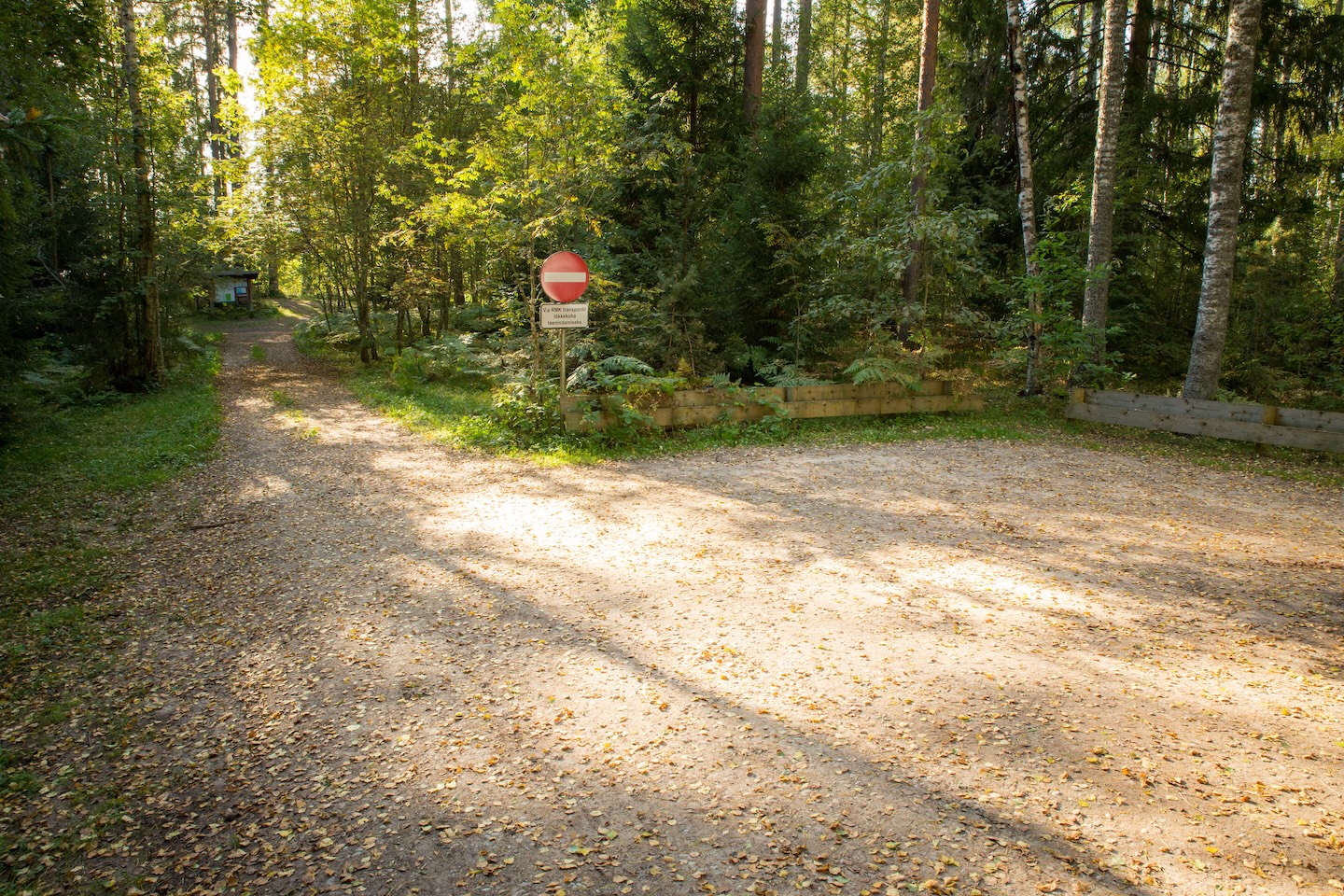 Tammeluha lõkkekoht