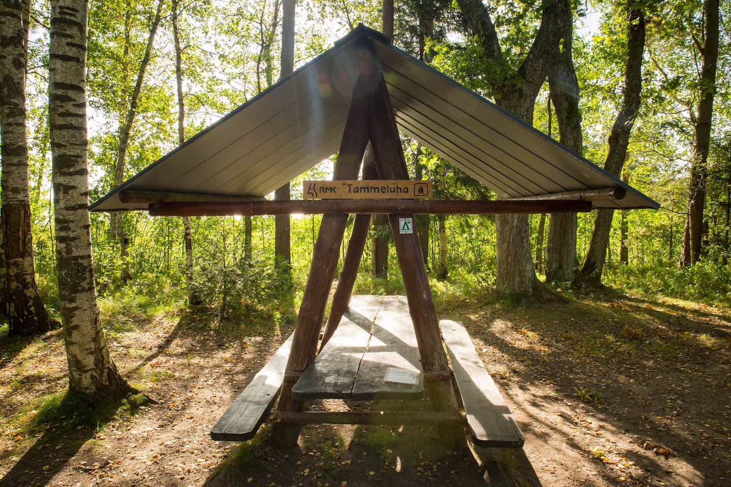 Tammeluha lõkkekoht