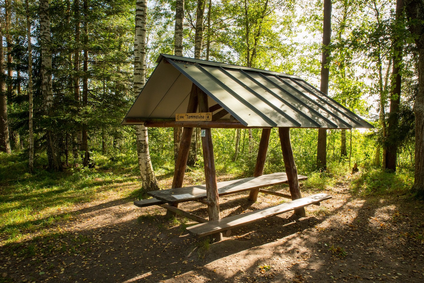 Tammeluha lõkkekoht