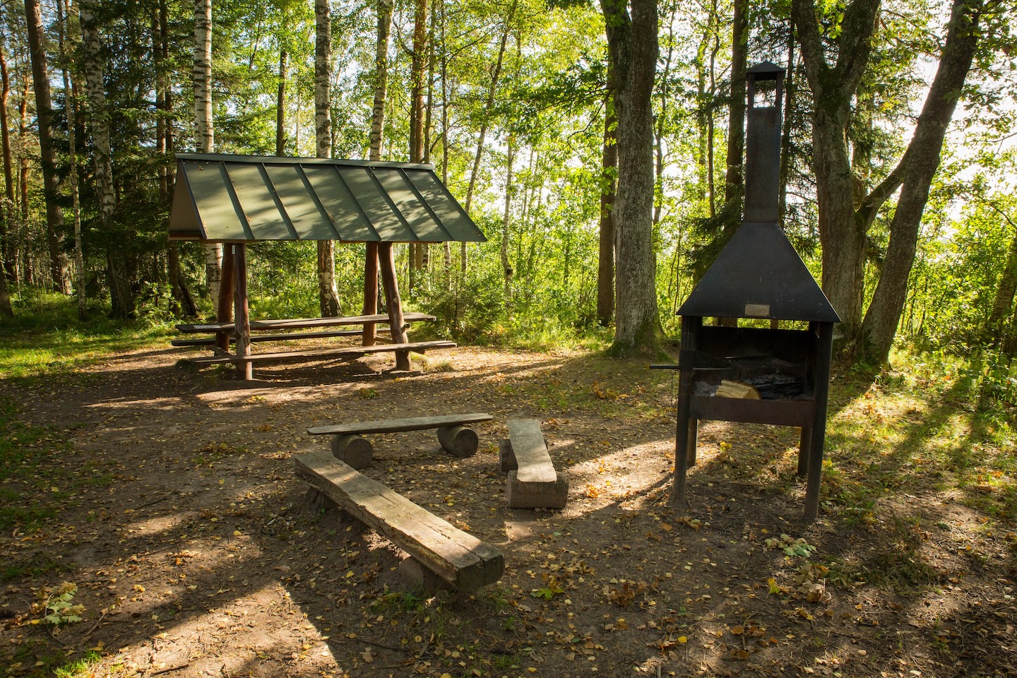 Tammeluha lõkkekoht