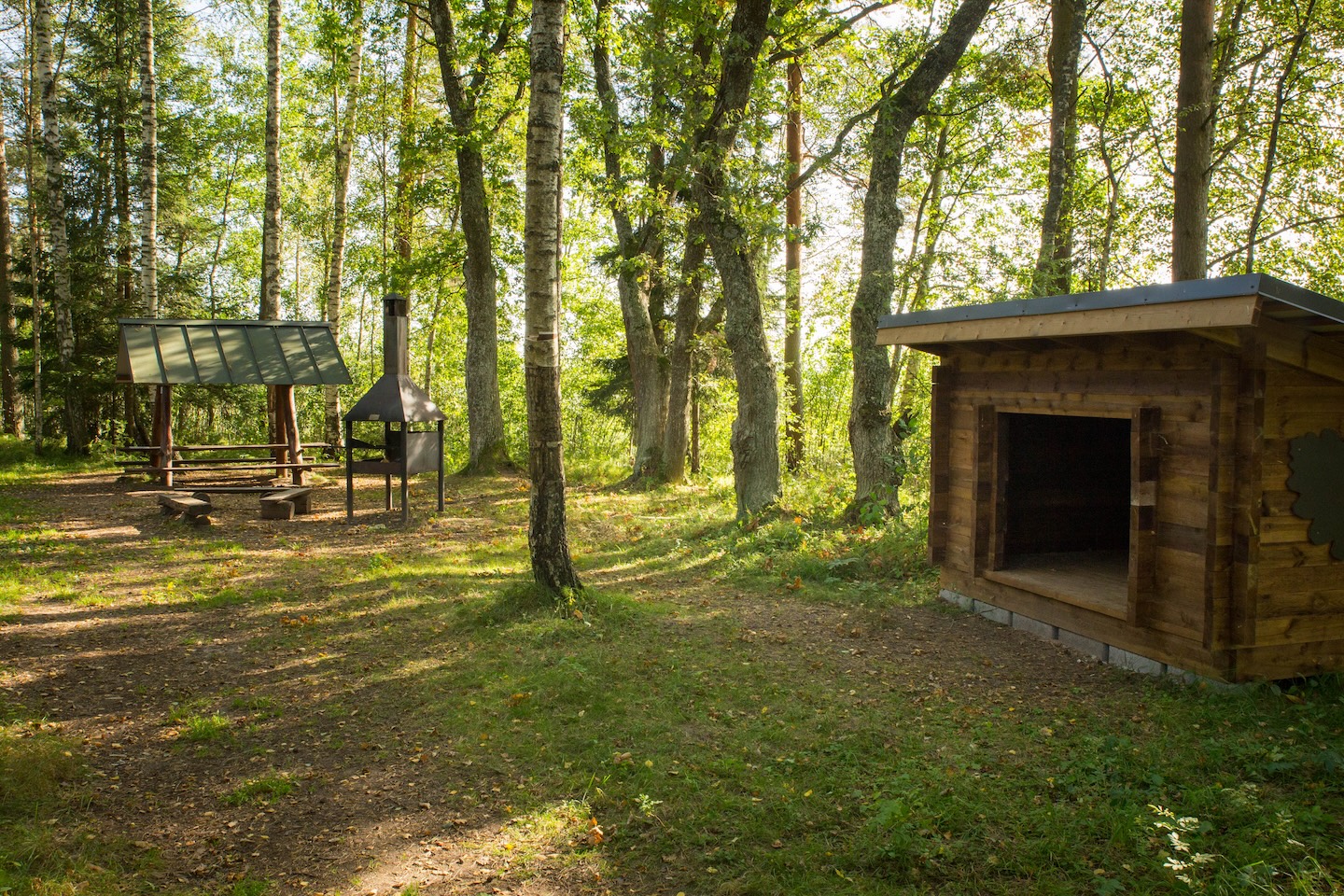 Tammeluha lõkkekoht