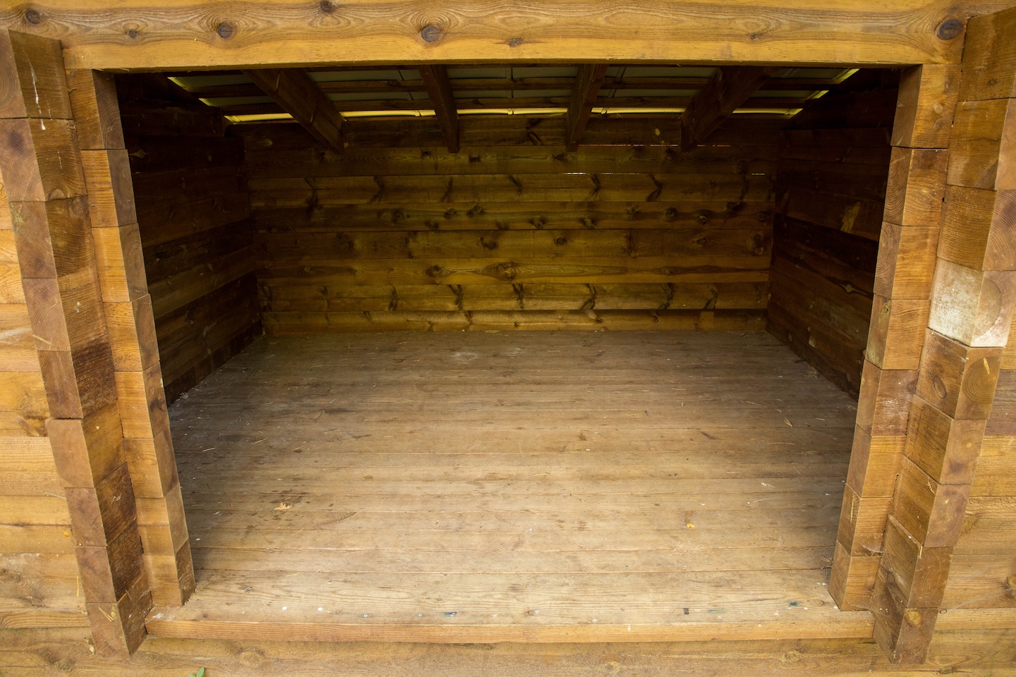 Tammeluha lõkkekoht