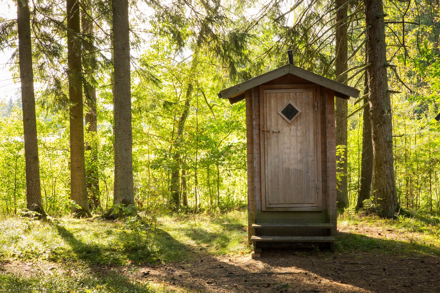 Tammeluha lõkkekoht