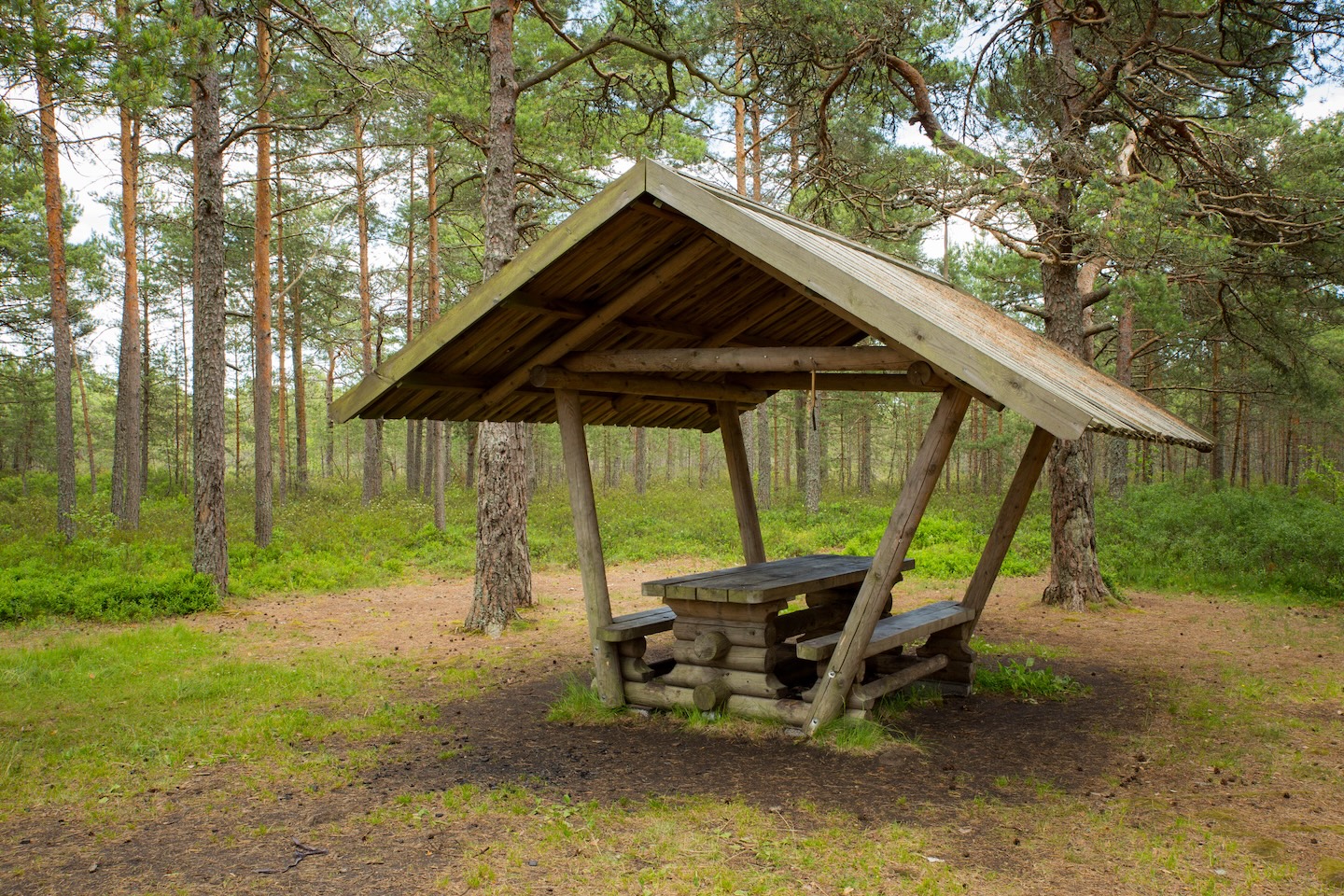 Tänavjärve lõkkekoht