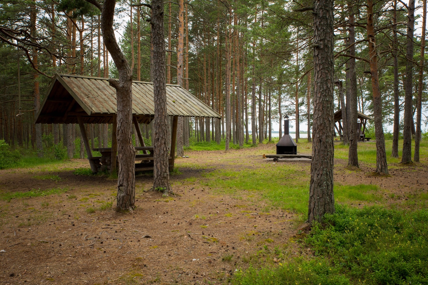 Tänavjärve lõkkekoht