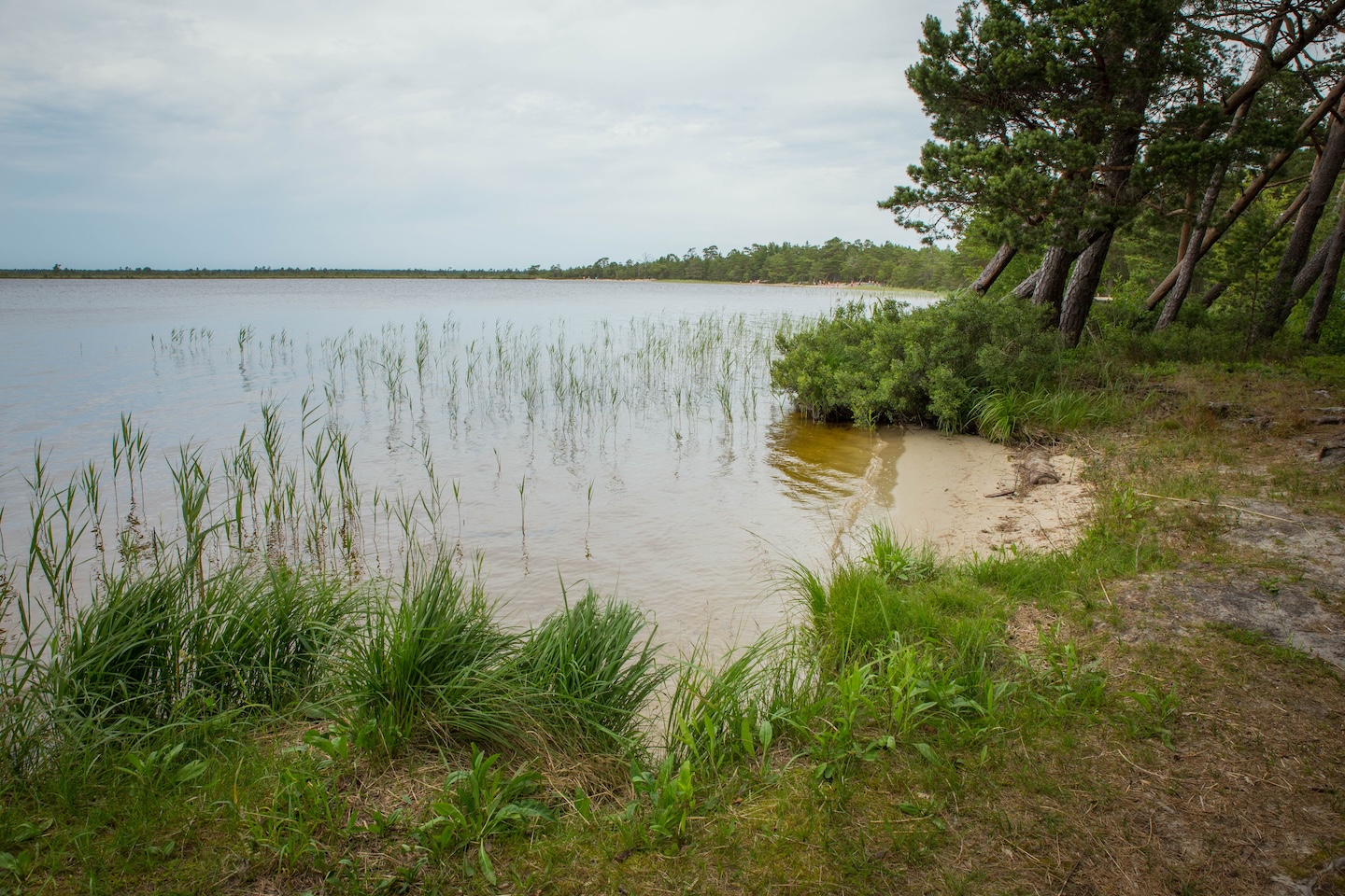 Tänavjärve lõkkekoht