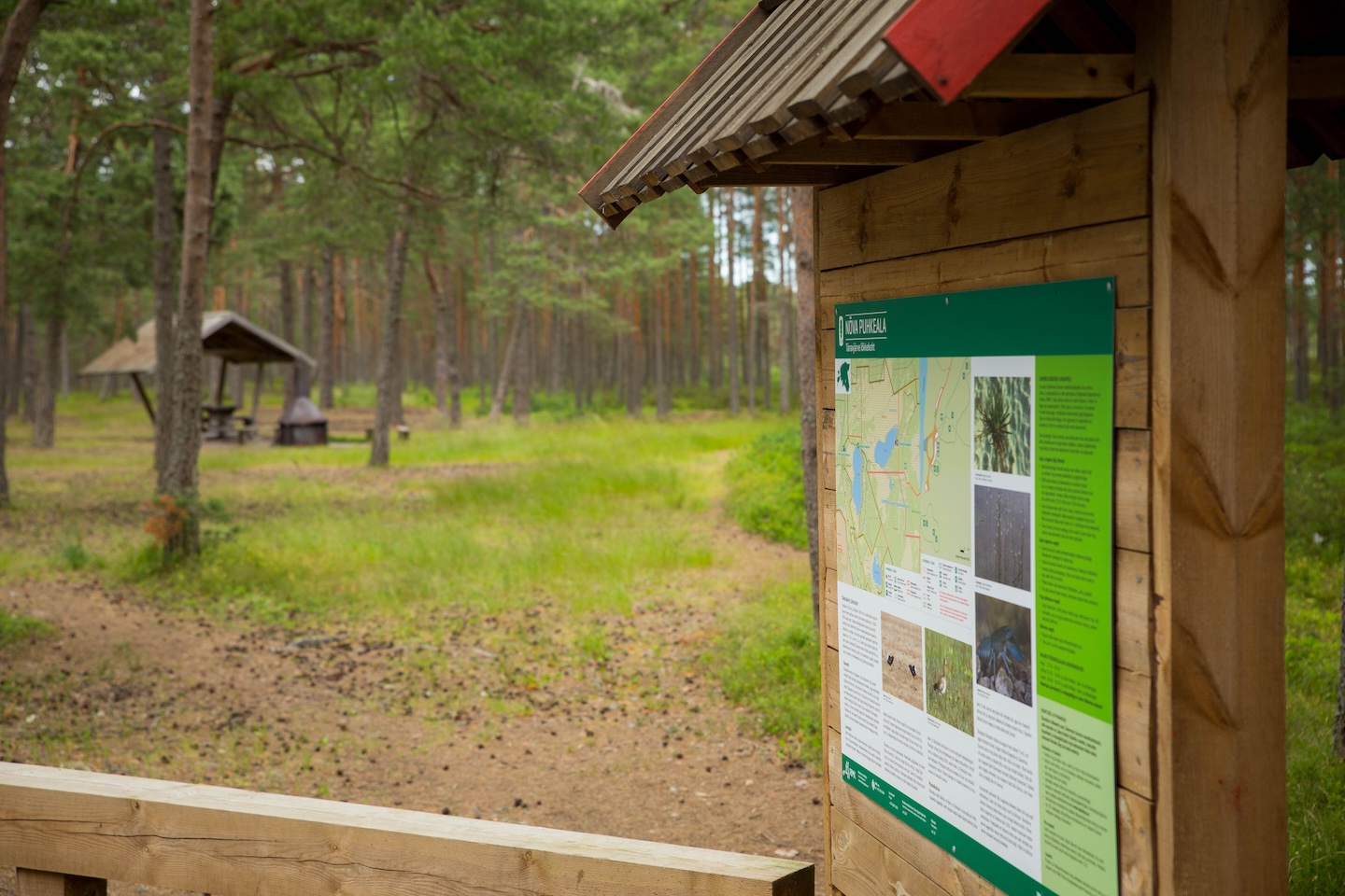 Tänavjärve lõkkekoht