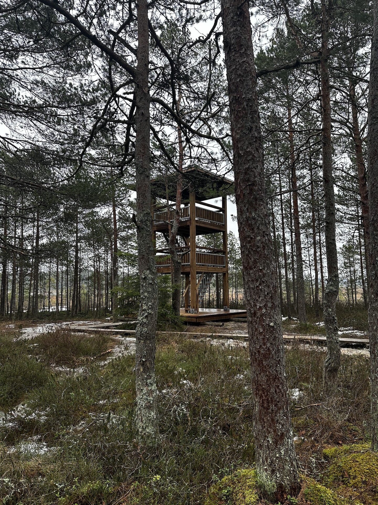 Valgejärve loodusõpperada (6,5 km)