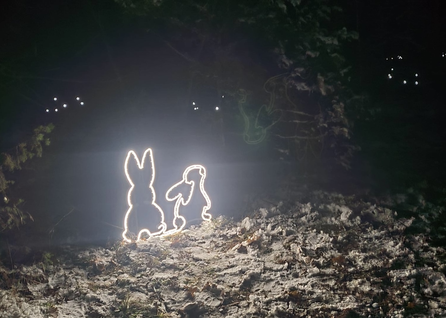 Alutaguse rahvuspargi külastuskeskus