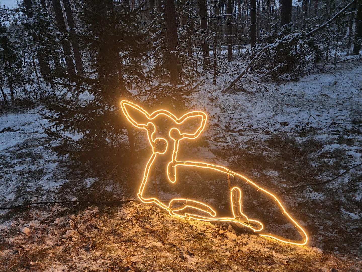 Alutaguse rahvuspargi külastuskeskus