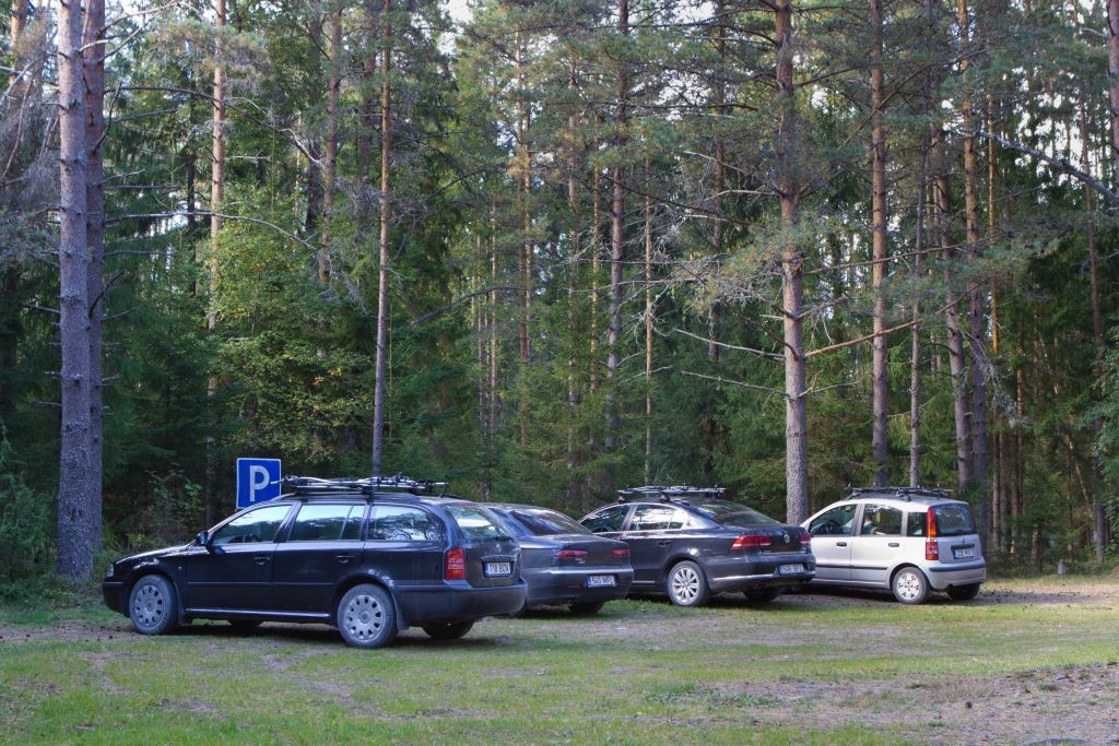 Järvi Pikkjärve telkimisala