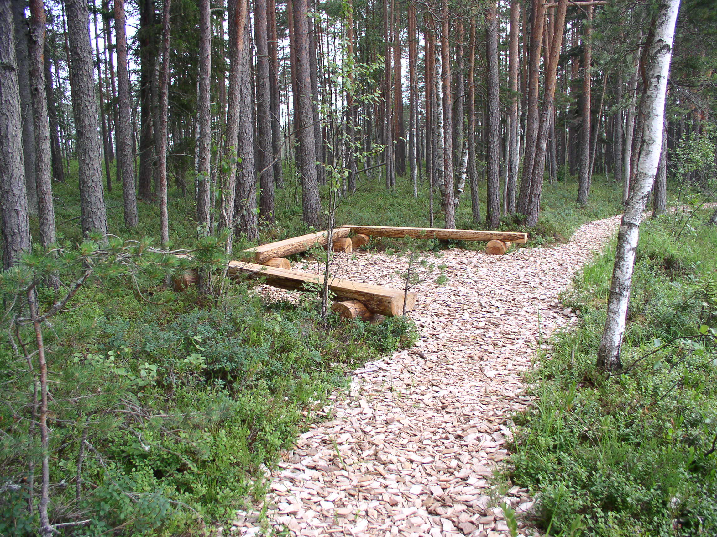 Parika Väikejärve study trail (there and back 3 km)