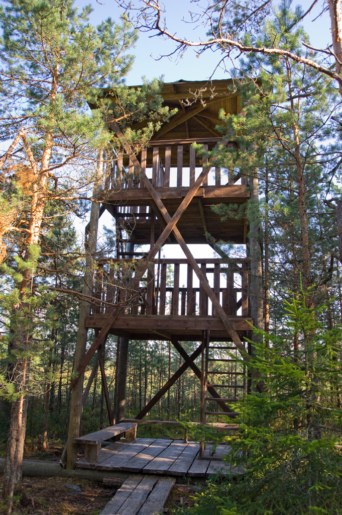 Valgejärve loodusõpperaja vaatetorn (kaugus parklast 2,3 km)