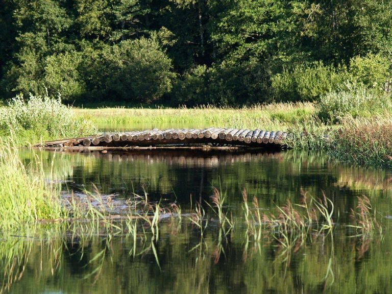 Varem oli vike sillake Lemmje letuseks