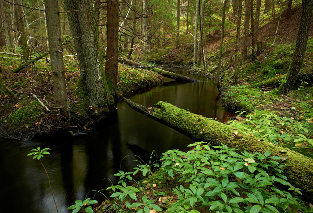 Key habitat