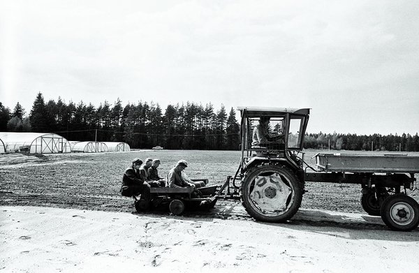 1948 – loodi Kilingi-Nõmme metsamajandi utiilitsehh Maranale