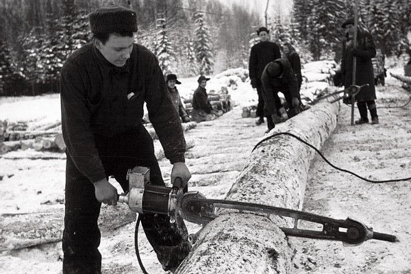 1945 – moodustati maakondade metsatööstuskeskused