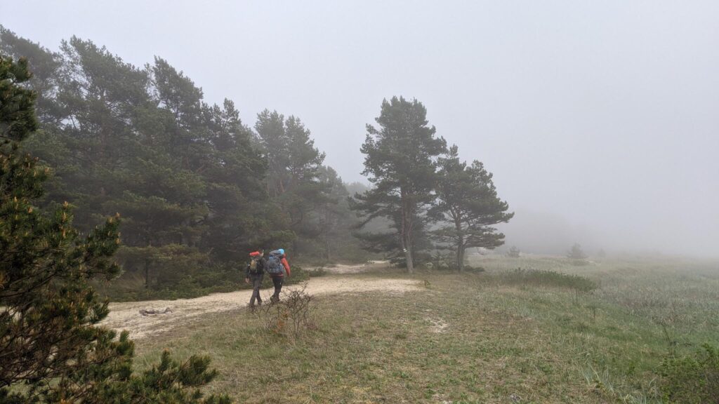 People walking along the foggy Hiiumaa hiking trail