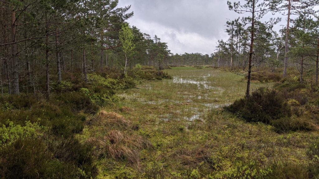 Hiiumaa hiking trail