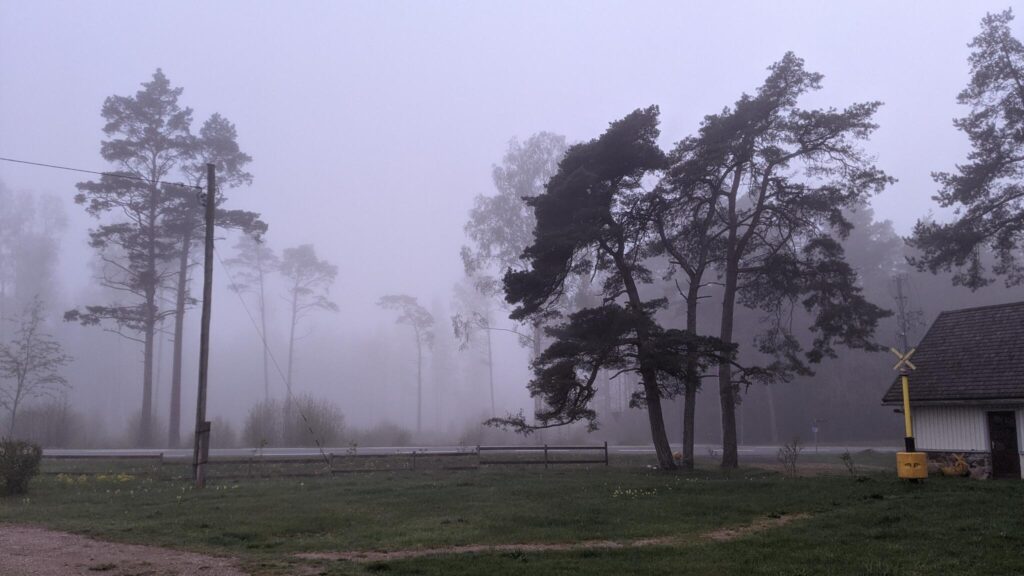 Foggy Hiiumaa