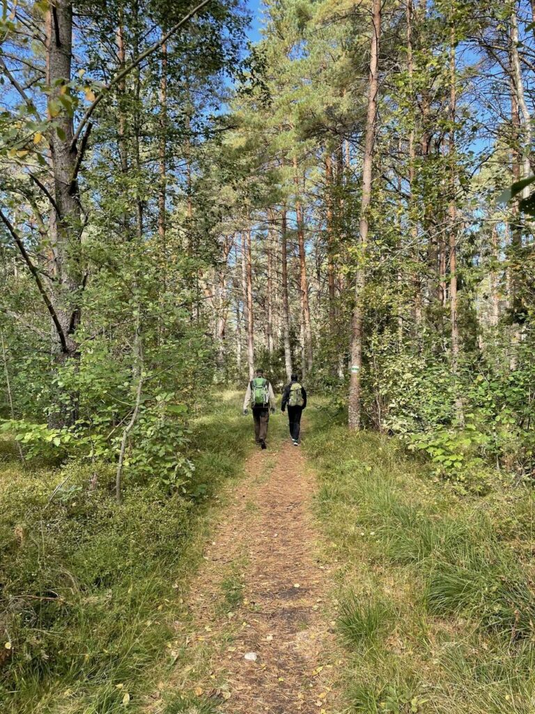 Hikers on the Hiiumaa hiking trail