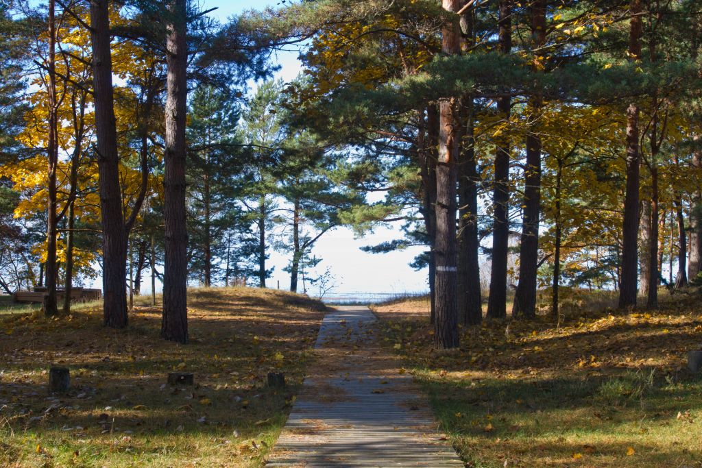 Lemme campsite road to beach