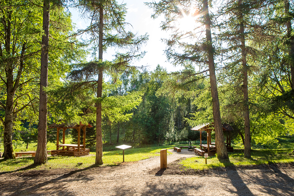 Eesjärve campsite