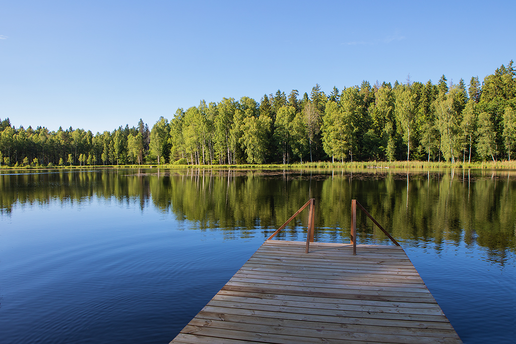 Bridge on the lake