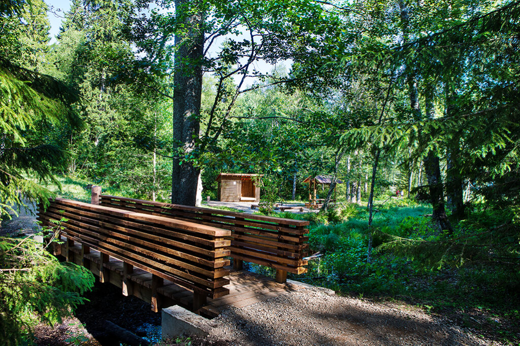 Bridge at the Tissipuu campfire site