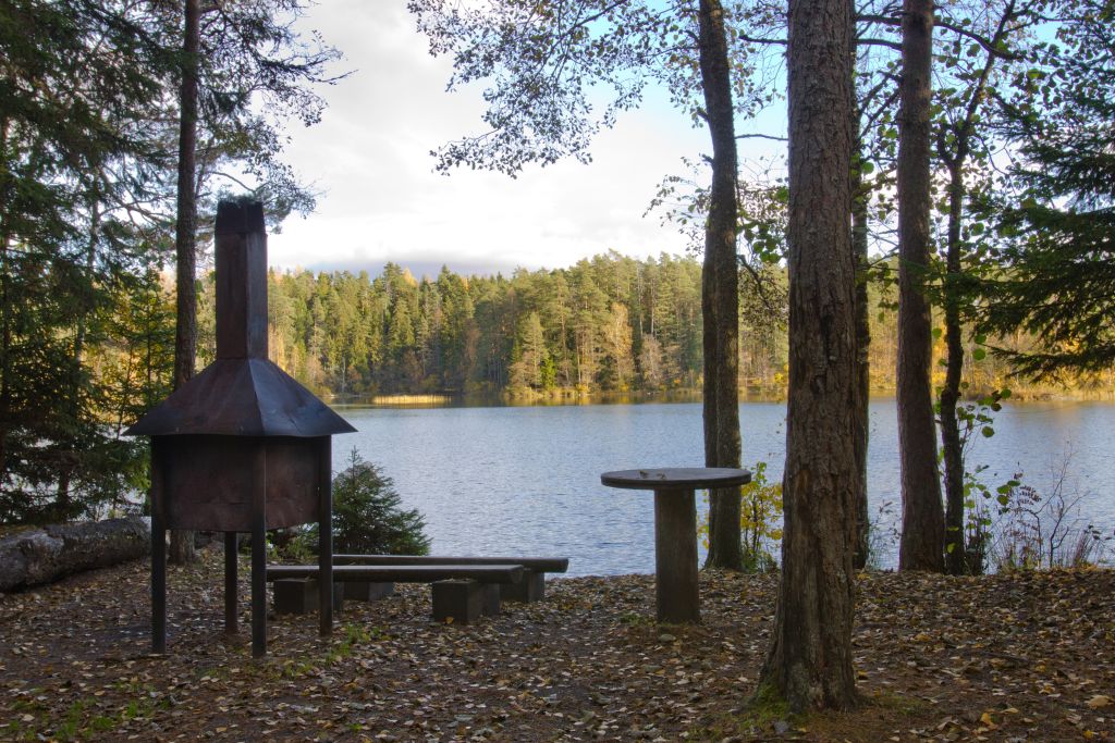 Paukjärve telkimisala lõkkeplats