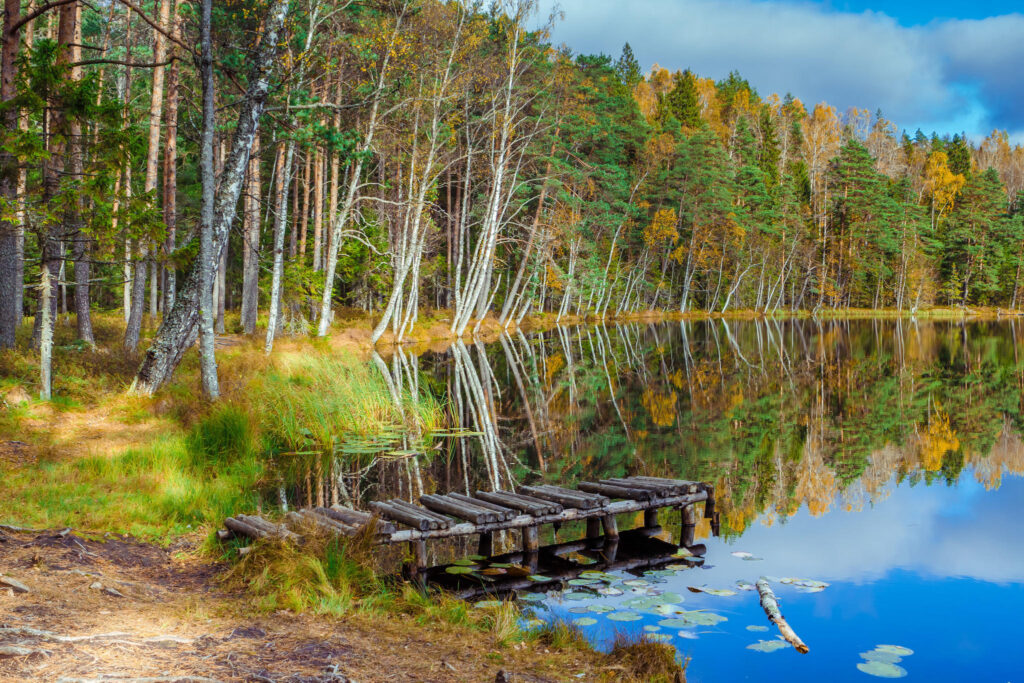 Suur-Kaksjärv and bridge