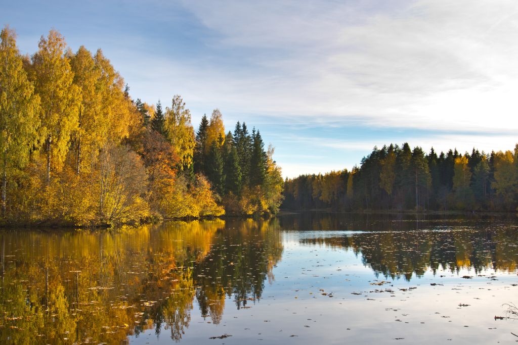 Rae lake in autumn