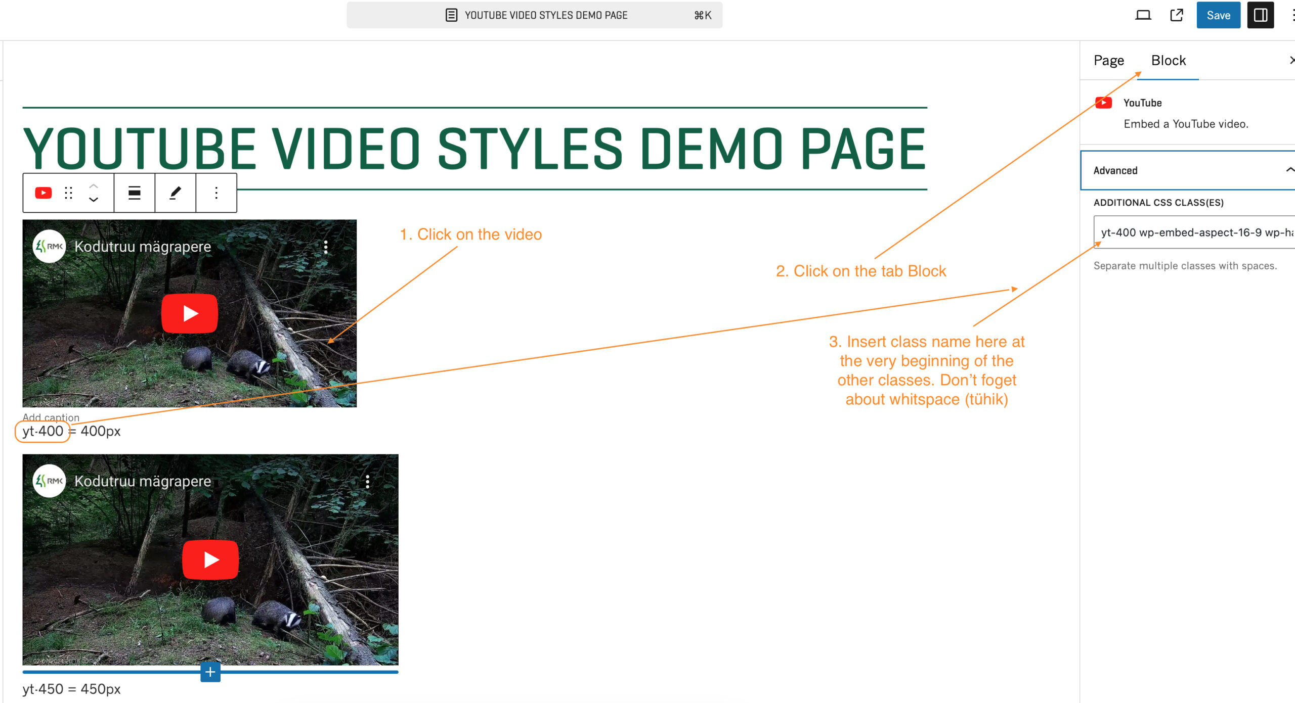 youtube demo styles