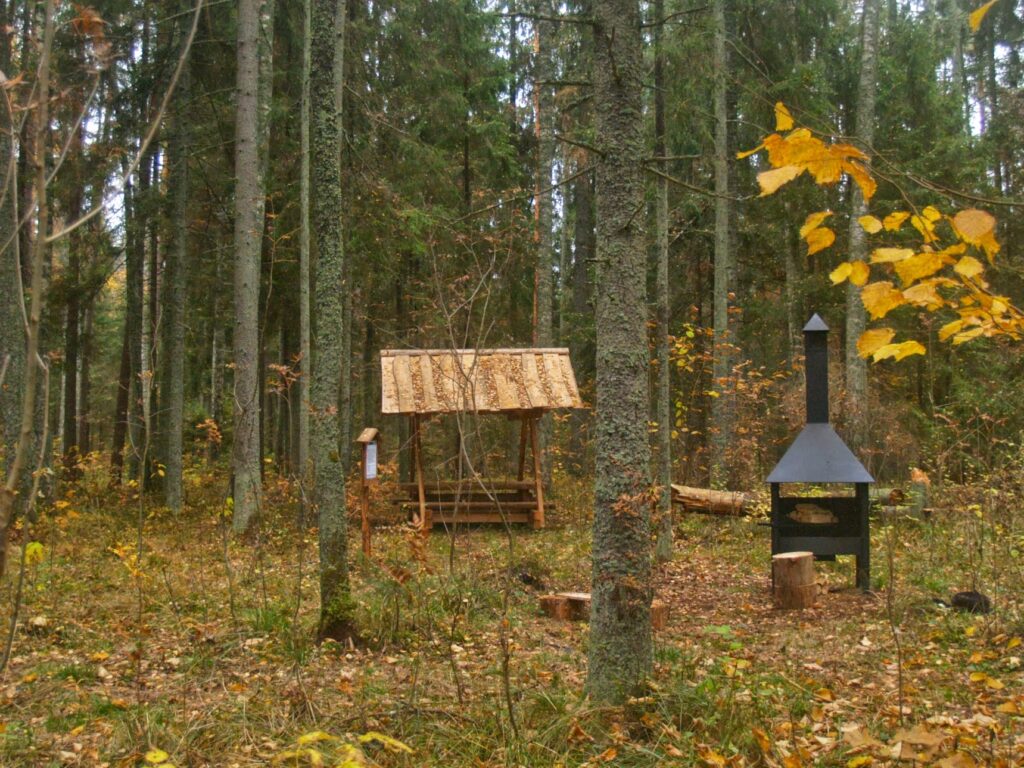 Siimusti lõkkekoht