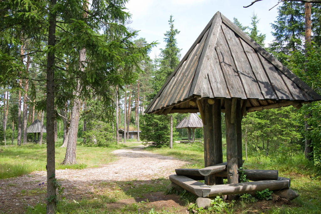 Varbola linnuse telkimisala